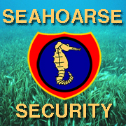 to seahoarse.com